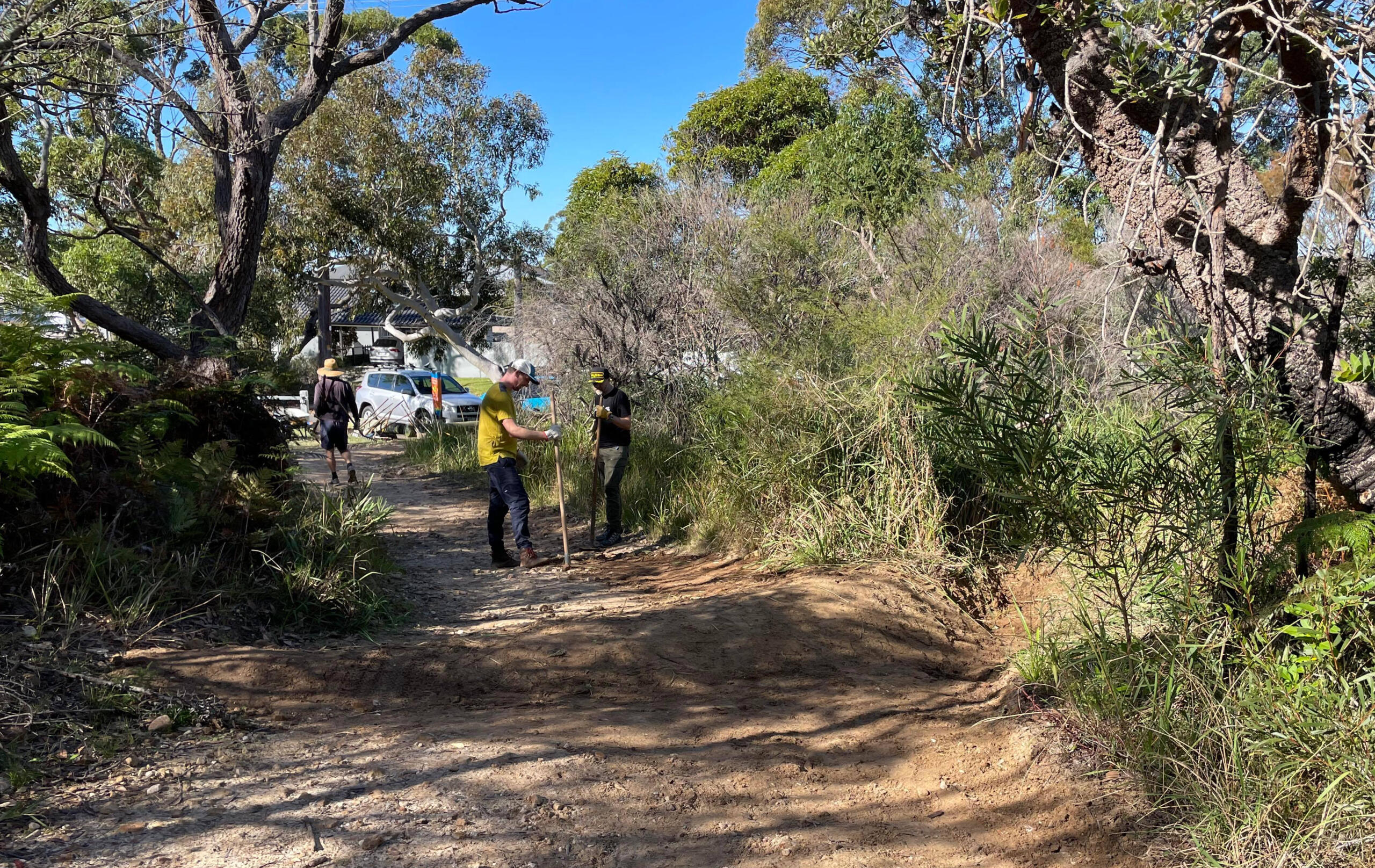 We love trail drainage.